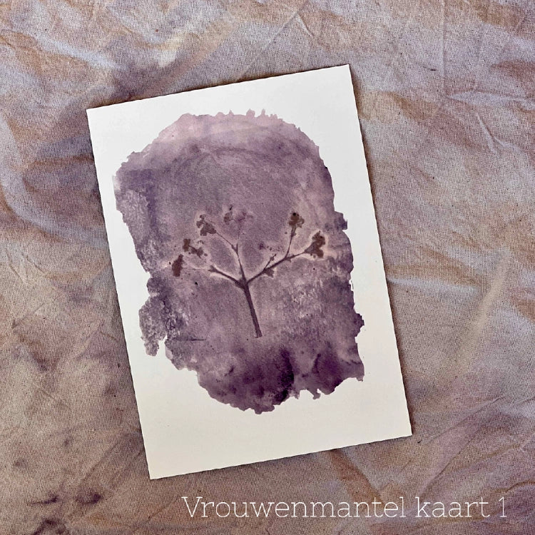 Plant in print - wenskaarten