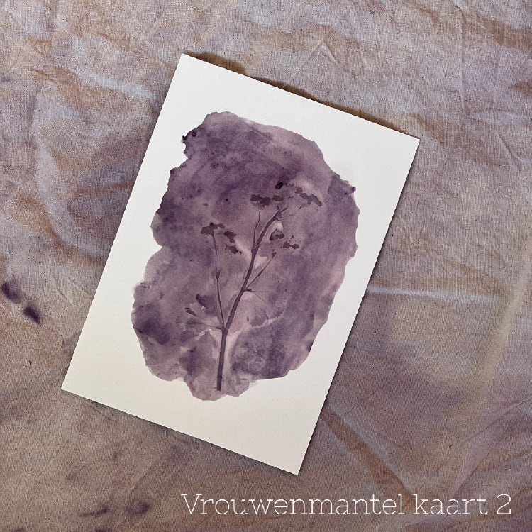 Plant in print - wenskaarten